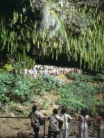 Fern Grotto