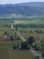 Napa Valley
