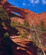 Arche de Kolob