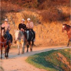 Horseback-riding-Hollywood-2